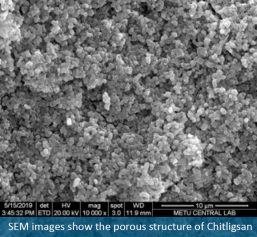 SEM images show the porous structure of Chitligsan