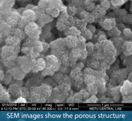 SEM images show the porous structure