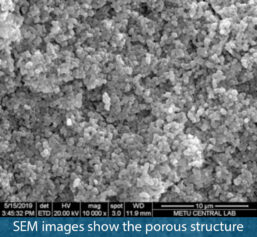 SEM images show the porous structure